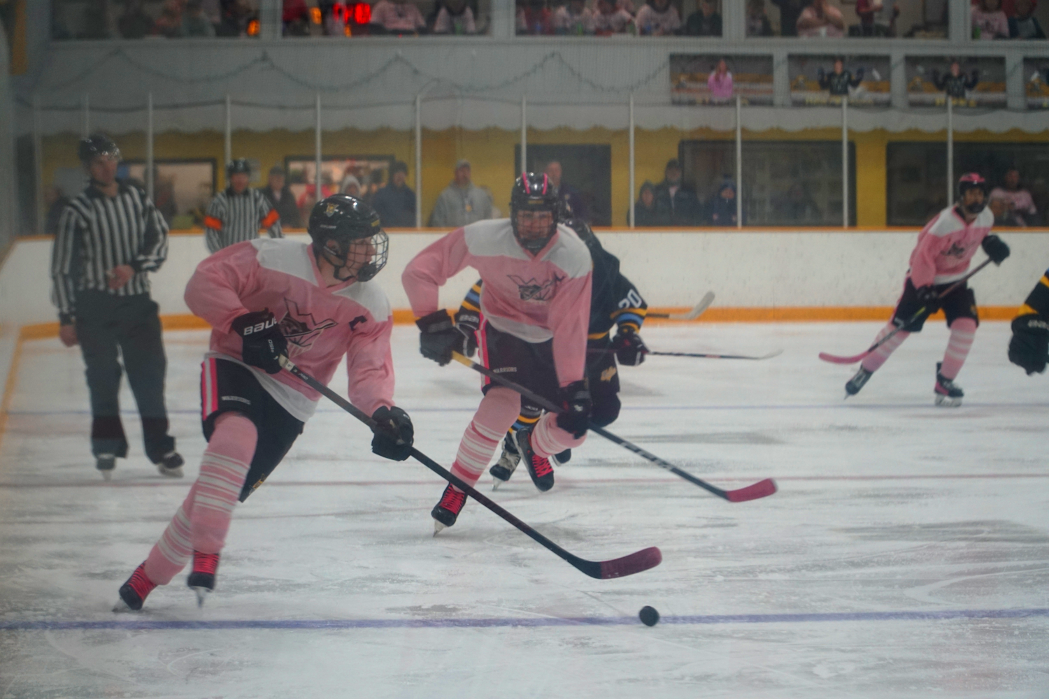 Pink The Rink (PHOTOS) Pink Out the Rink 2024 – Waupun Pioneer News
